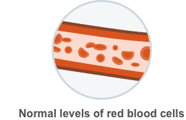 Illustration indicating normal number of red blood cells