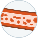 Illustration indicating normal number of red blood cells