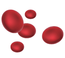 blood_content